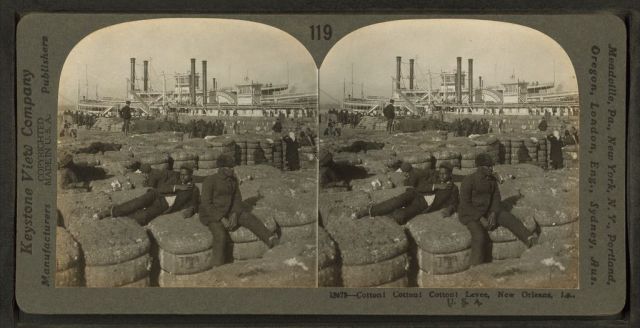 Stereoscopic view - cotton on a New Orleans levee