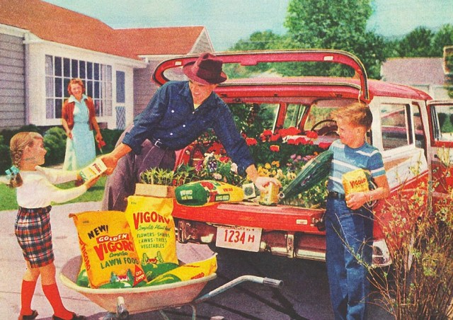 suburbia-garden-vigaro-58-swscan03228-copy-copy