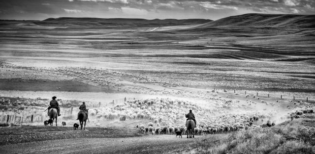 gauchos-the-argentine-cowboys.1029