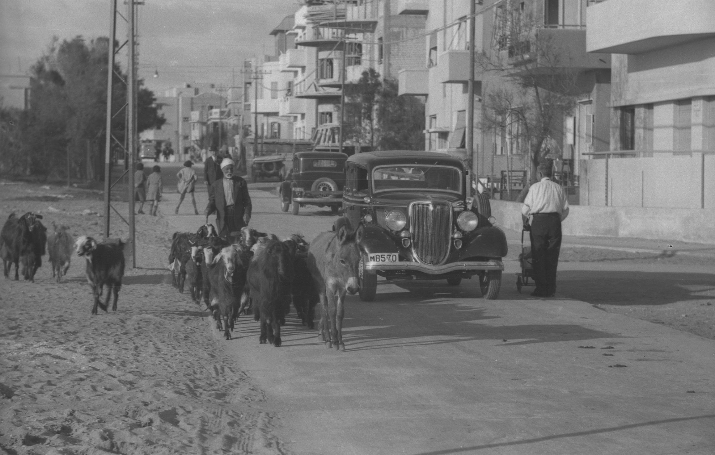 Screen Shot 2020-02-07 at 12.58.50